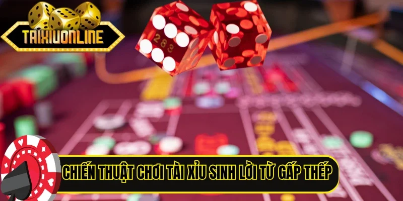 Chiến thuật chơi tài xỉu sinh lời từ gấp thếp