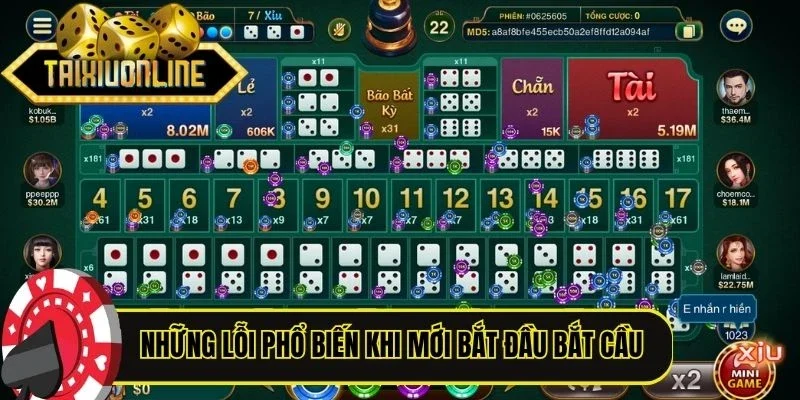 Những lỗi phổ biến khi mới bắt đầu bắt cầu